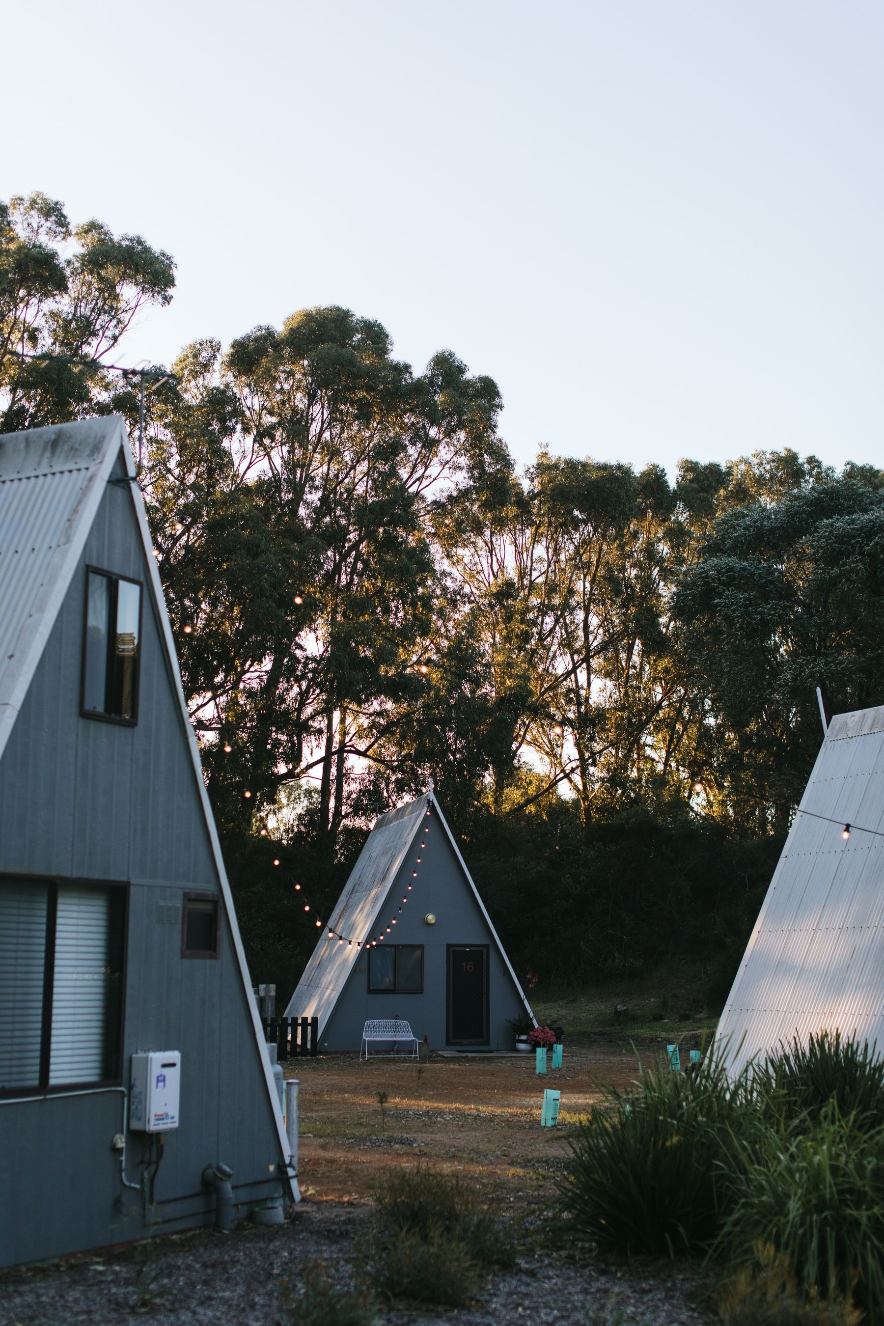 A-frame cabins nestled among trees and string lights